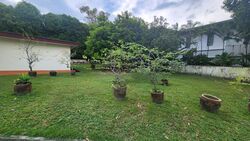 Swiss Club Park (D11), Detached #520127571